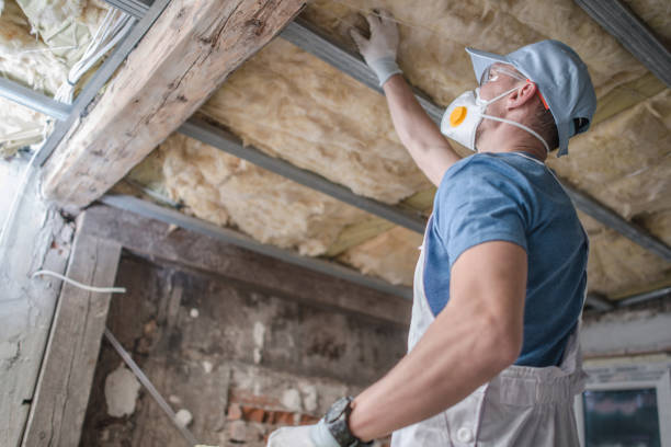 Best Types of Insulation in Cleveland, AL